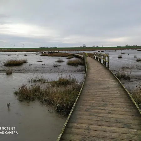 Mooroase Bauerngarten - - Nordsee - Weser - Jade Ovelgonne