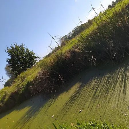 Mooroase Bauerngarten - - Nordsee - Weser - Jade Casa vacanze *