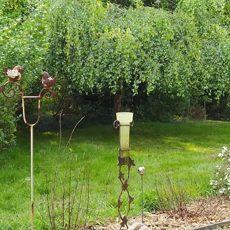 Mooroase Bauerngarten - - Nordsee - Weser - Jade