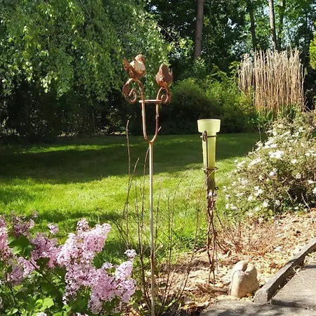 Mooroase Bauerngarten - - Nordsee - Weser - Jade Feriehus *