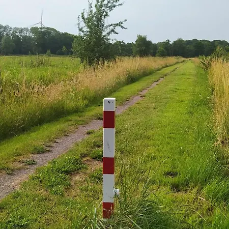 Mooroase Bauerngarten - - Nordsee - Weser - Jade *