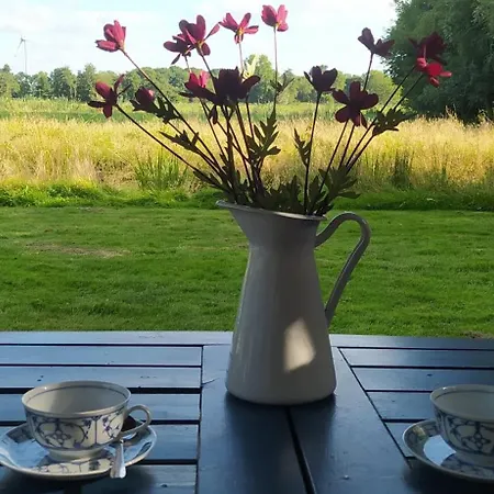 Mooroase Bauerngarten - - Nordsee - Weser - Jade Feriehus *