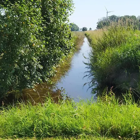 Mooroase Bauerngarten - - Nordsee - Weser - Jade * Ovelgonne