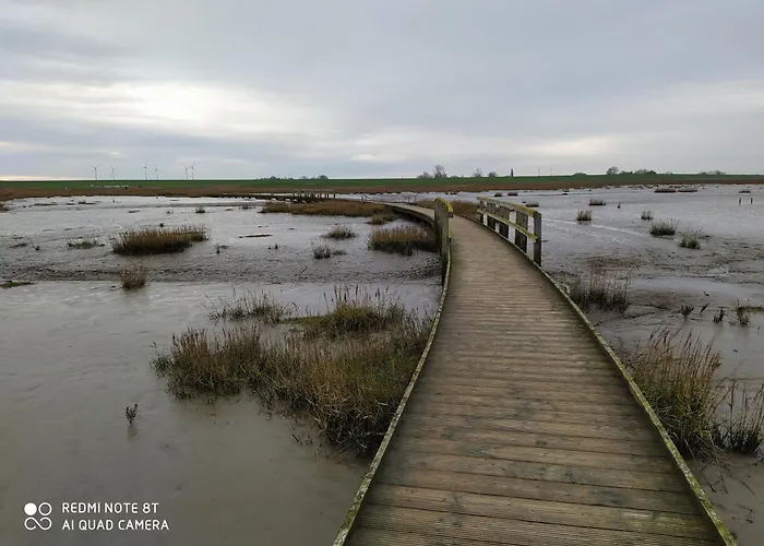 Mooroase Bauerngarten - - Nordsee - Weser - Jade Ovelgonne