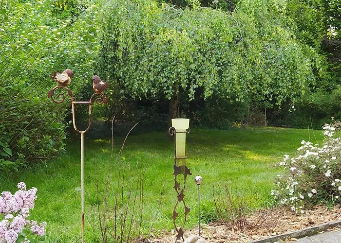 Mooroase Bauerngarten - - Nordsee - Weser - Jade