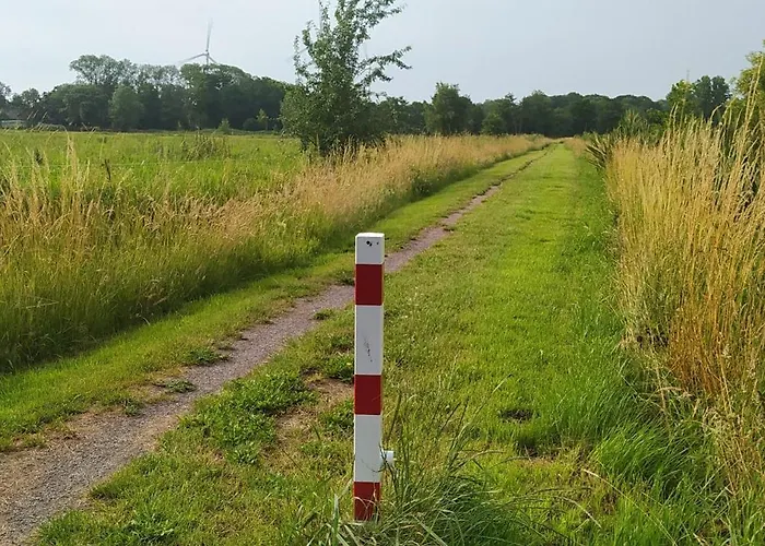 Mooroase Bauerngarten - - Nordsee - Weser - Jade *