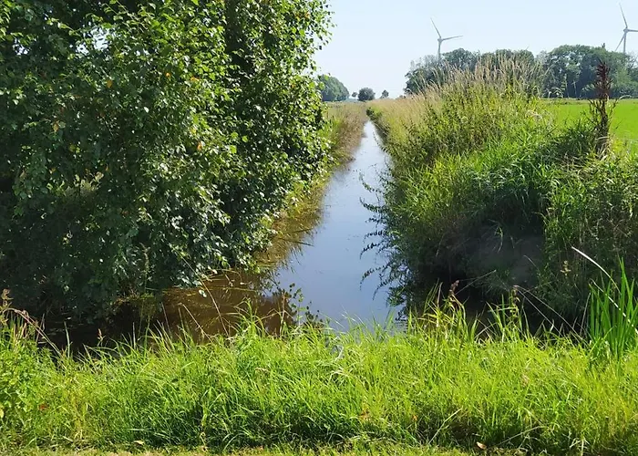 Mooroase Bauerngarten - - Nordsee - Weser - Jade * Ovelgonne